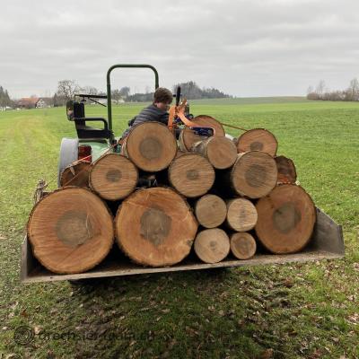 Foto Gallery 01 Bildgrosse Andern