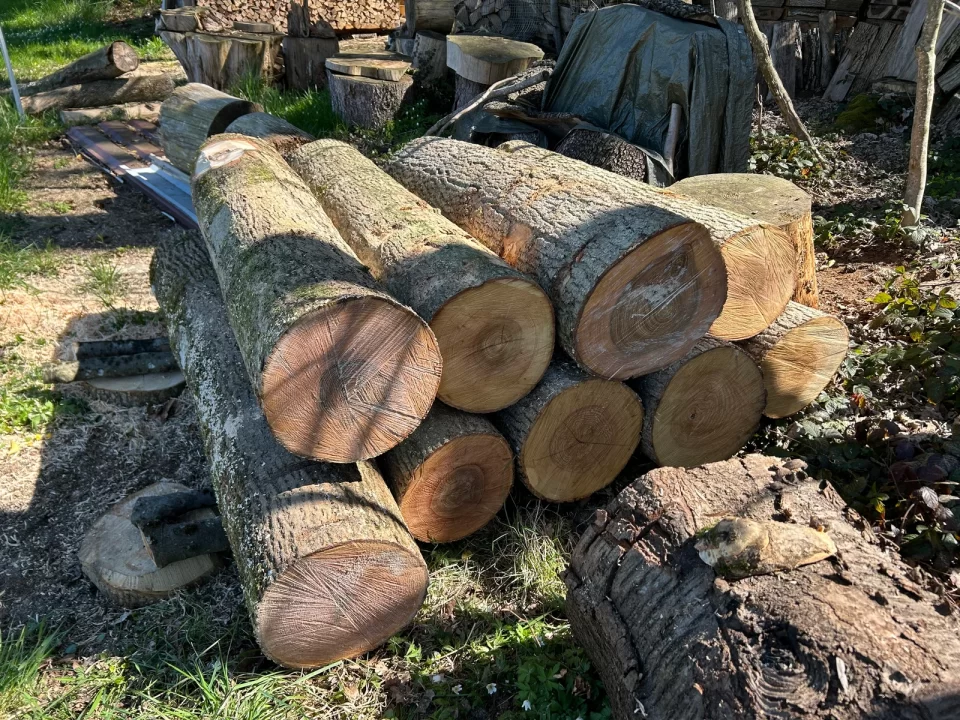 Unser Holzvorrat aus regionalen Stammabschnitten im Freien